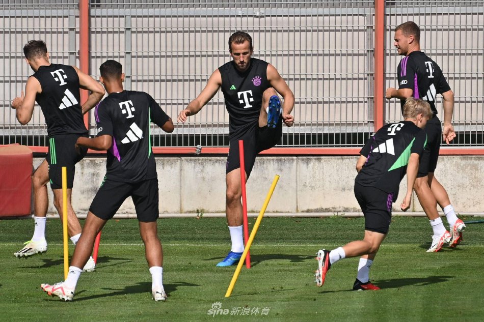 准的球场判 准的球场判